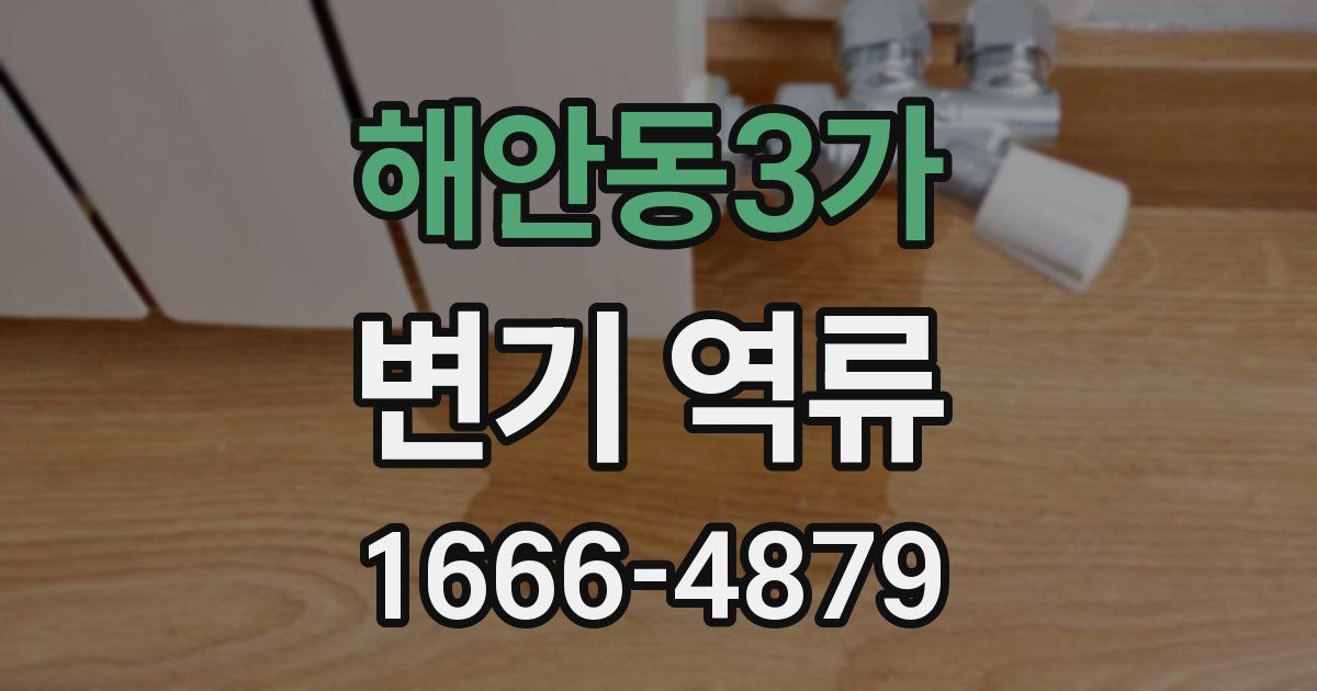 해안동3가 변기 역류