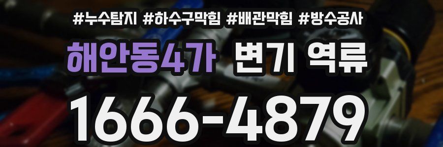 해안동4가 변기 역류