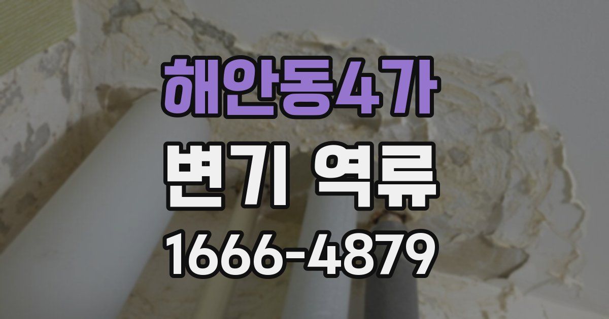 해안동4가 변기 역류