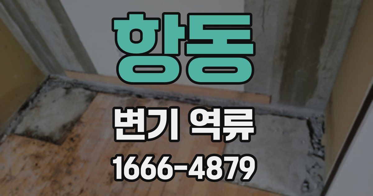 항동 변기 역류