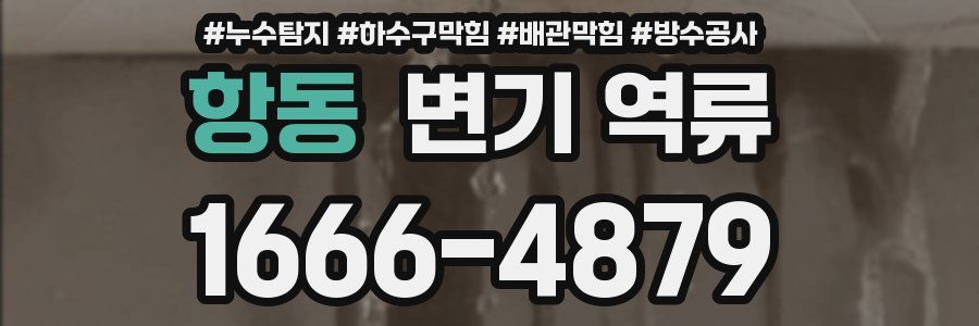 항동 변기 역류