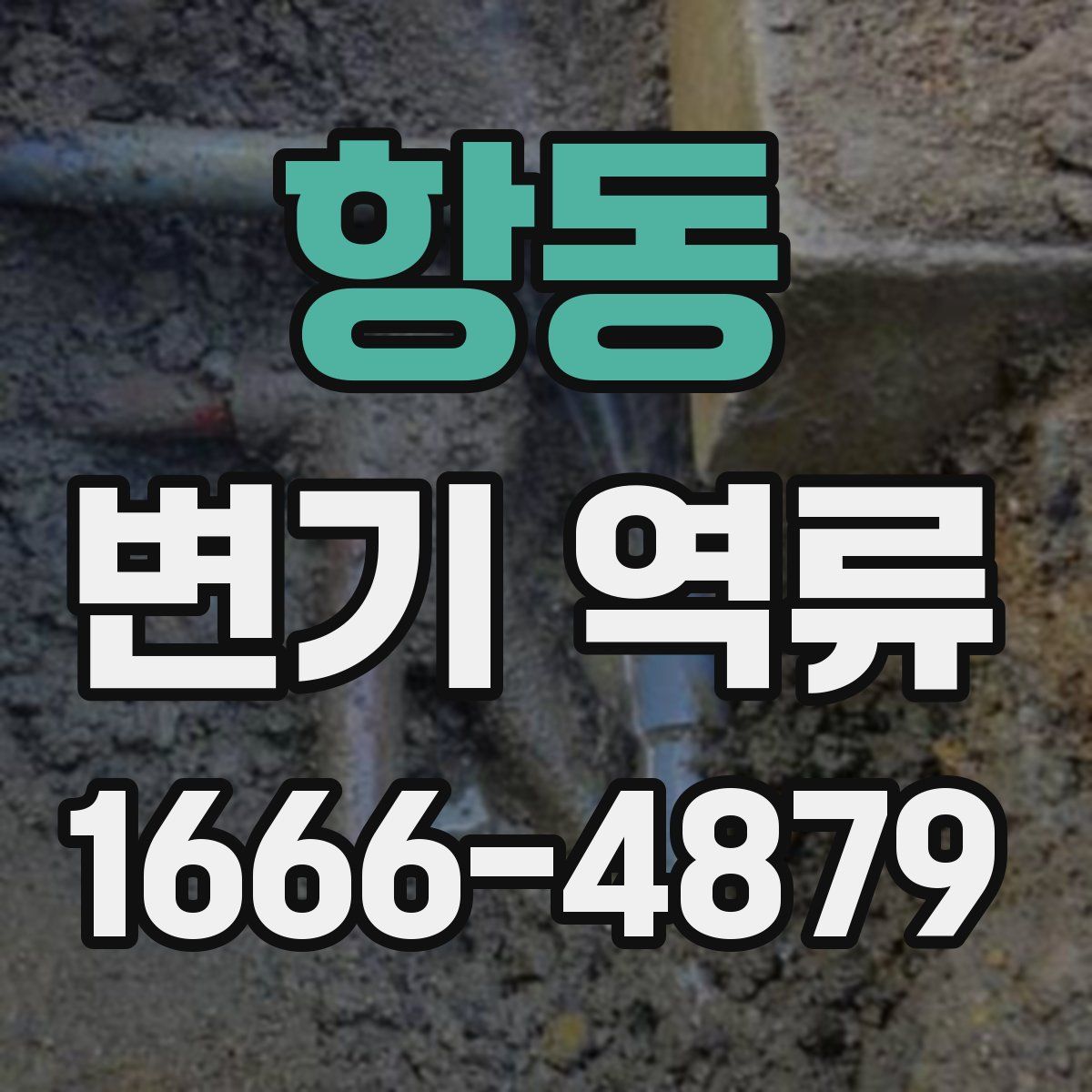 항동 변기 역류