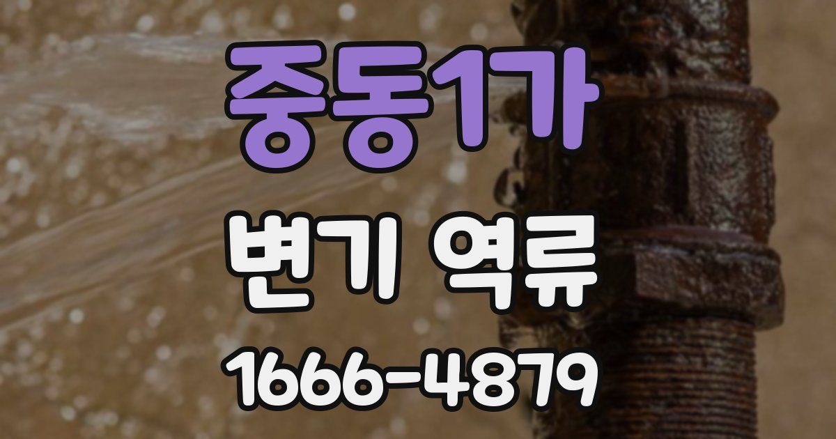 중동1가 변기 역류