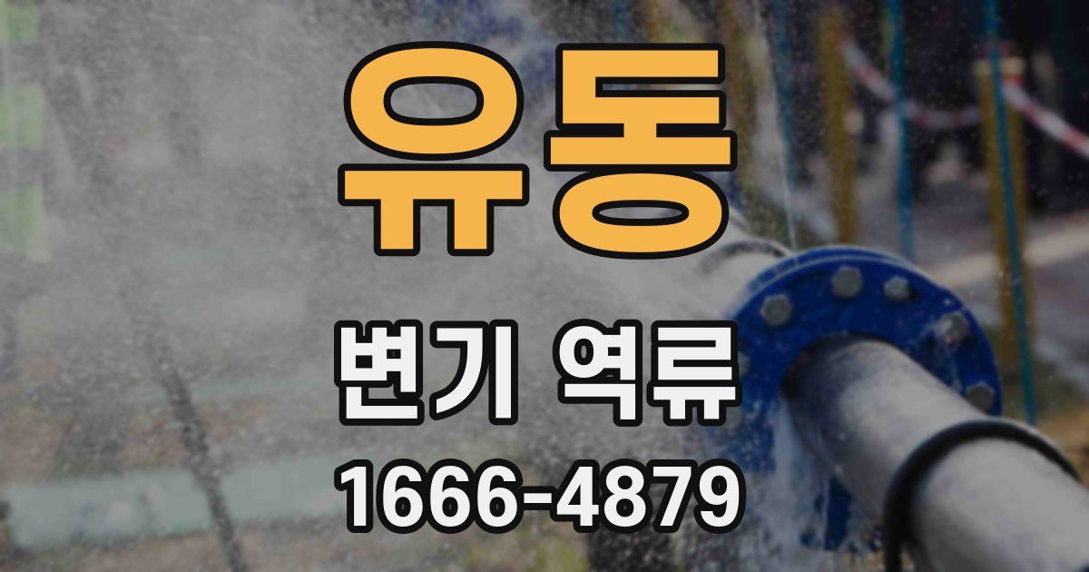 유동 변기 역류
