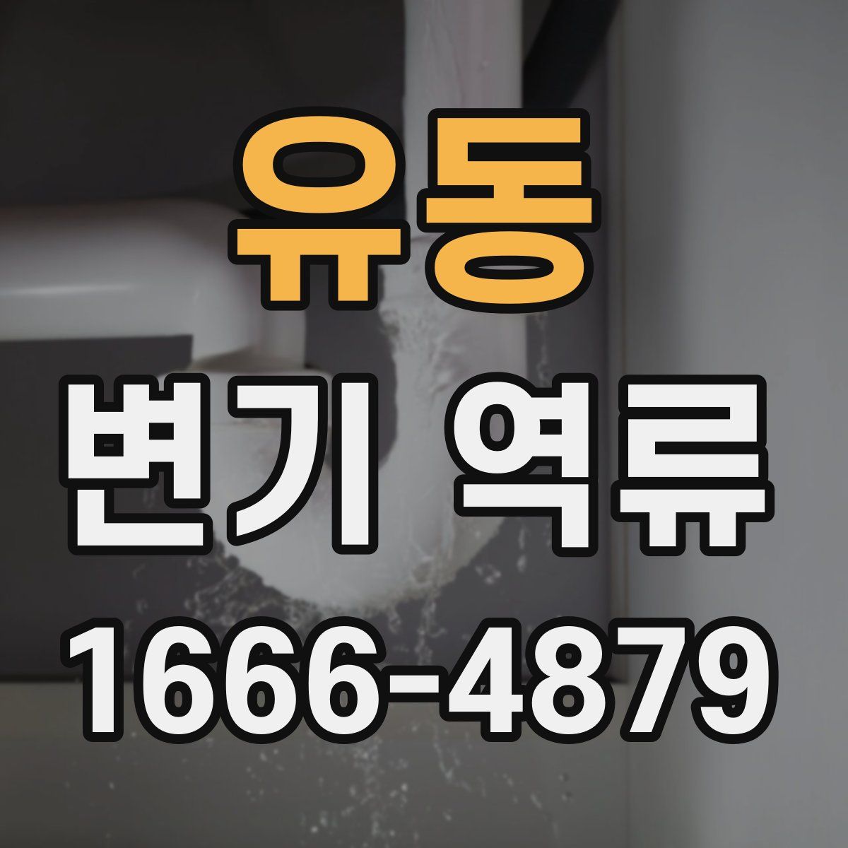 유동 변기 역류