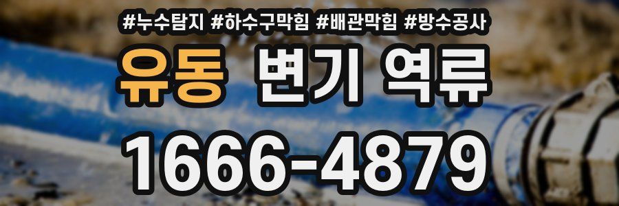 유동 변기 역류