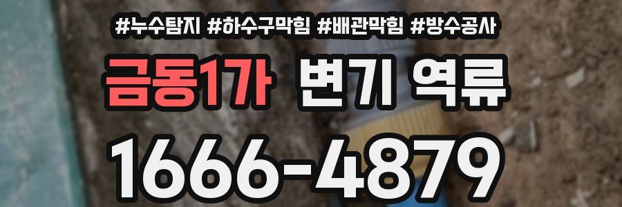금동1가 변기 역류