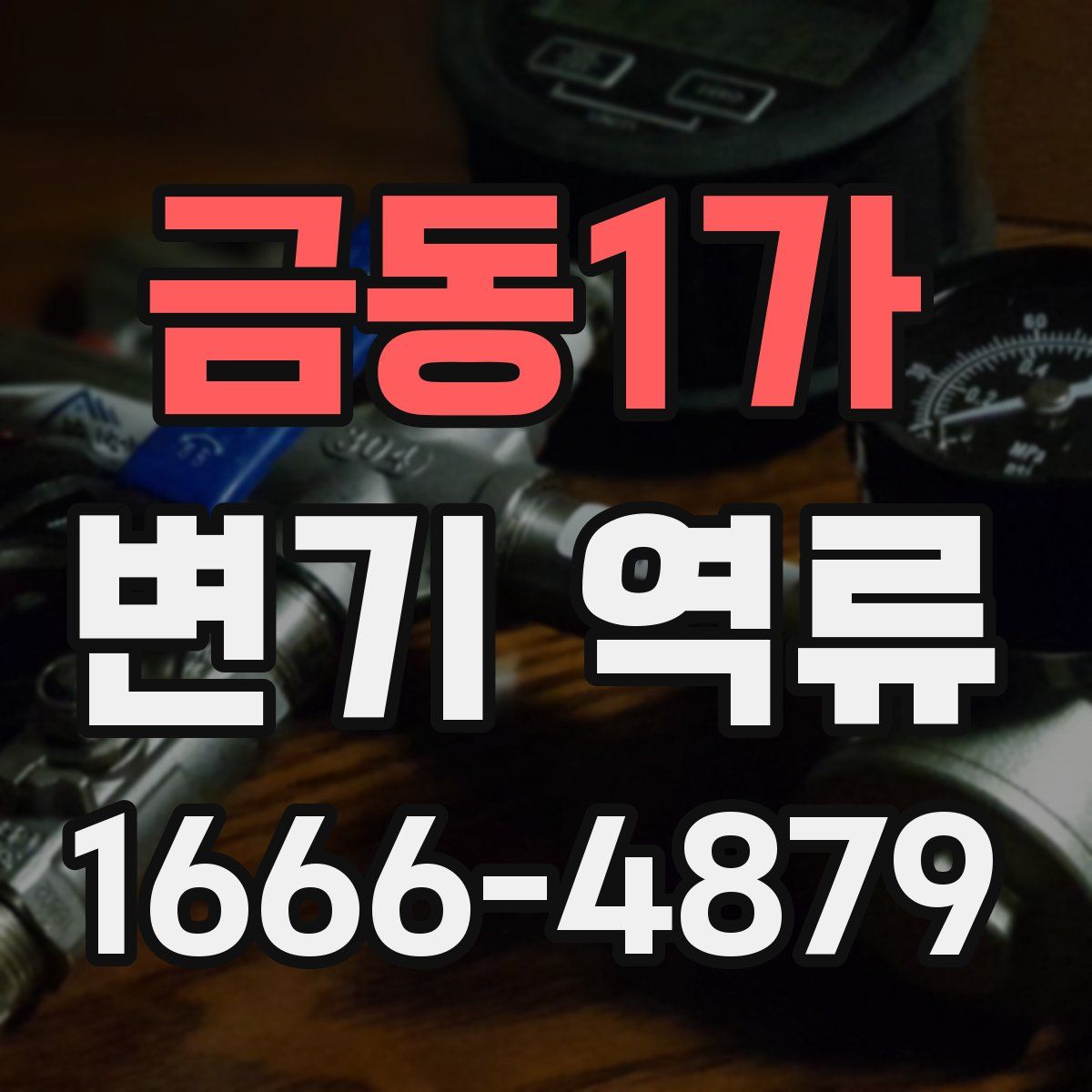 금동1가 변기 역류