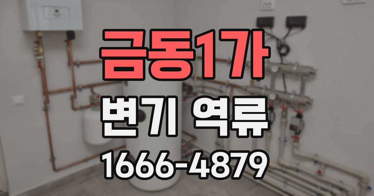 금동1가 변기 역류
