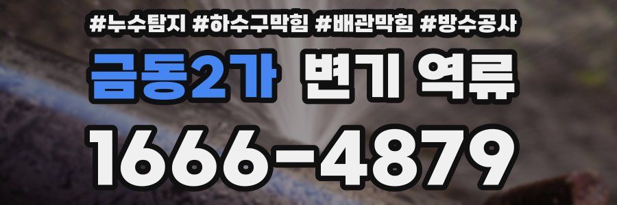 금동2가 변기 역류