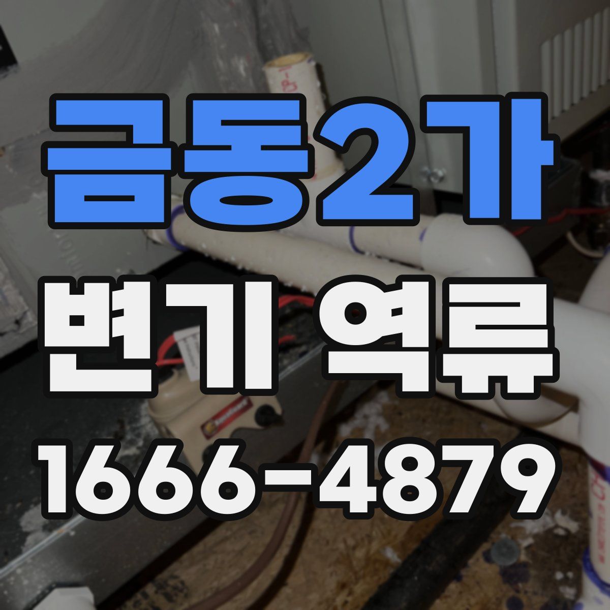 금동2가 변기 역류
