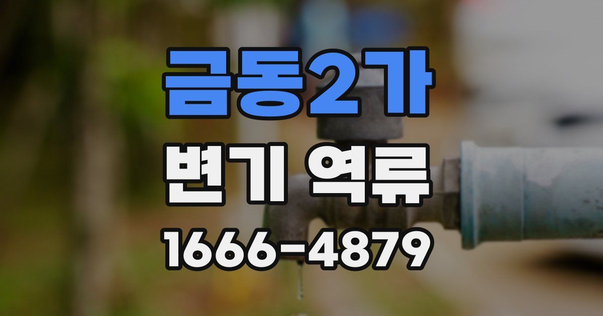 금동2가 변기 역류