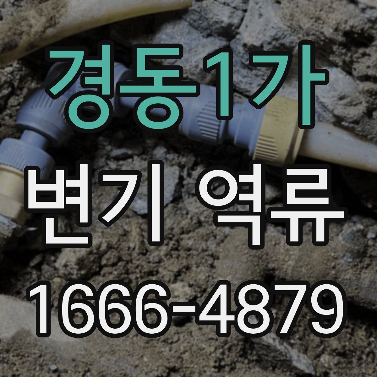 경동1가 변기 역류