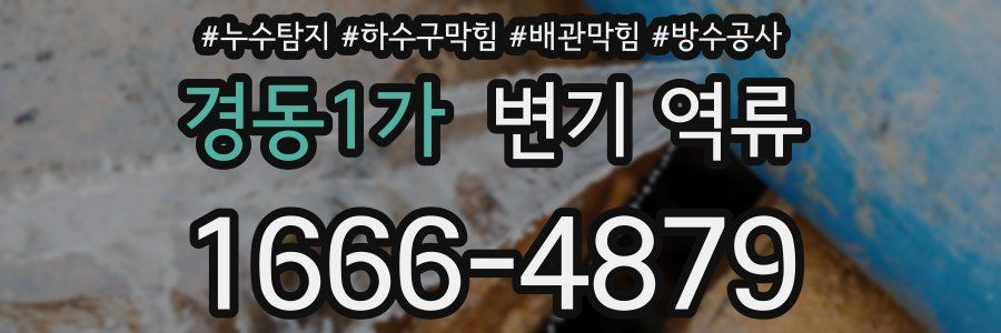 경동1가 변기 역류