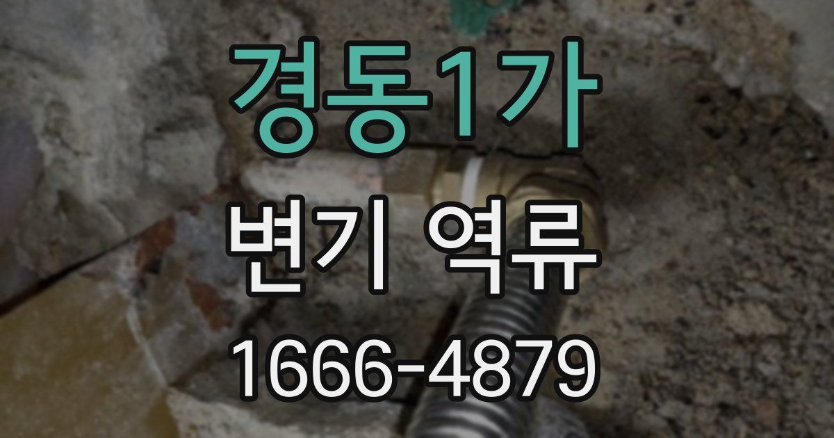 경동1가 변기 역류
