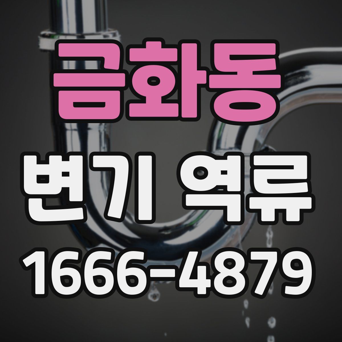 금화동 변기 역류