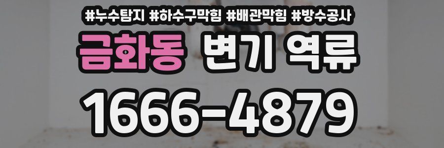 금화동 변기 역류