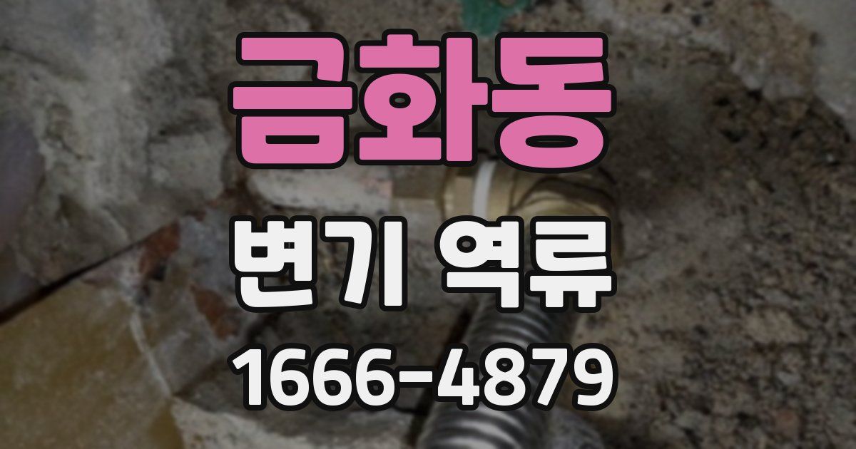 금화동 변기 역류