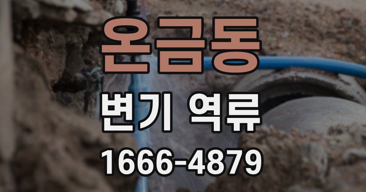 온금동 변기 역류