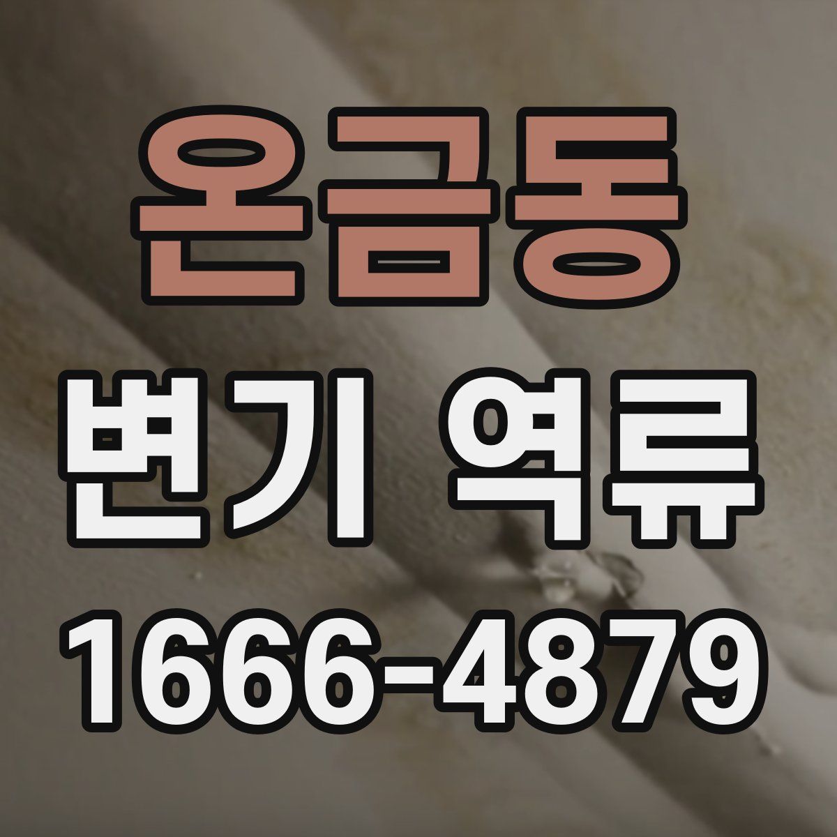 온금동 변기 역류