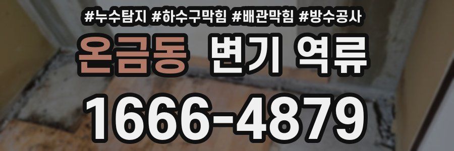 온금동 변기 역류