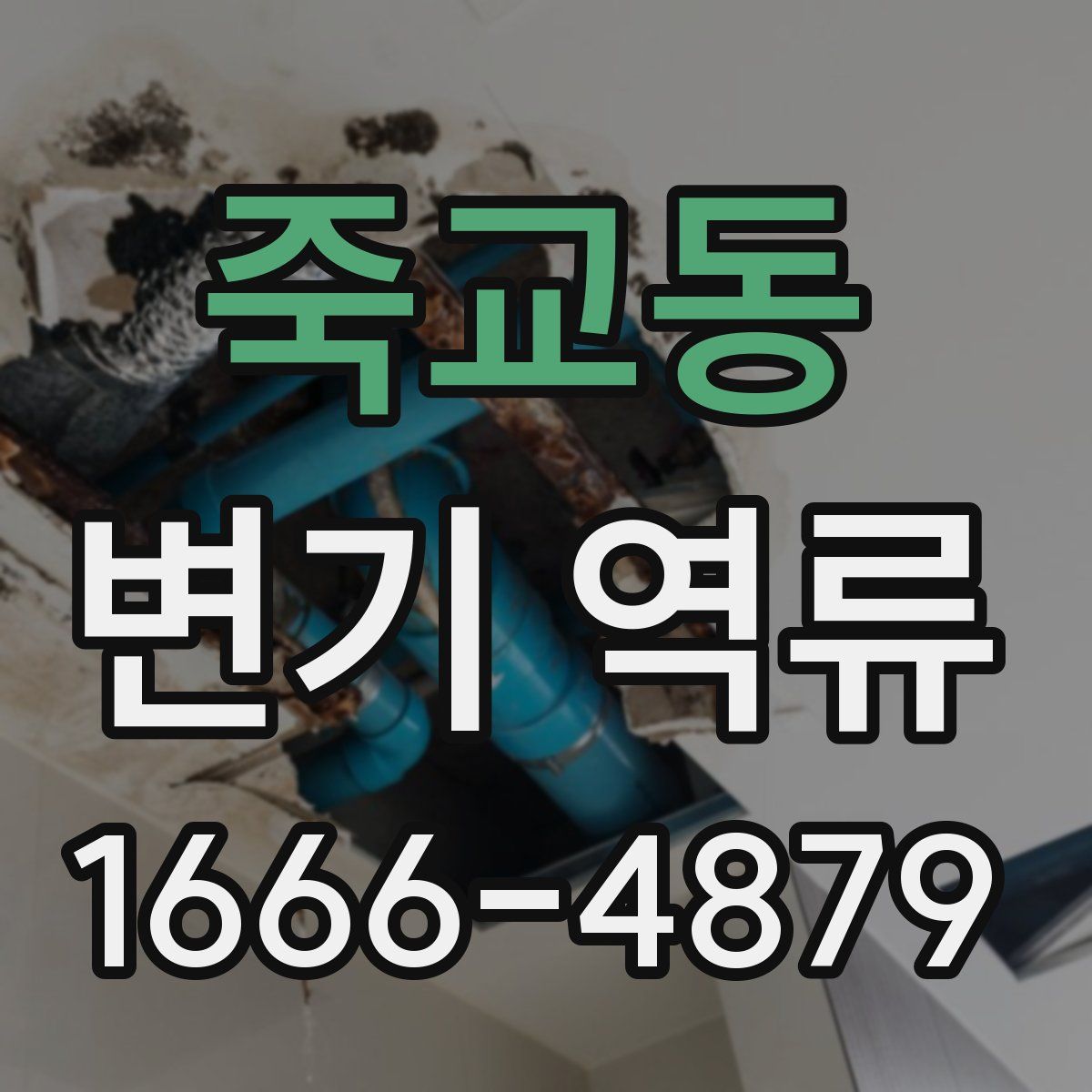 죽교동 변기 역류