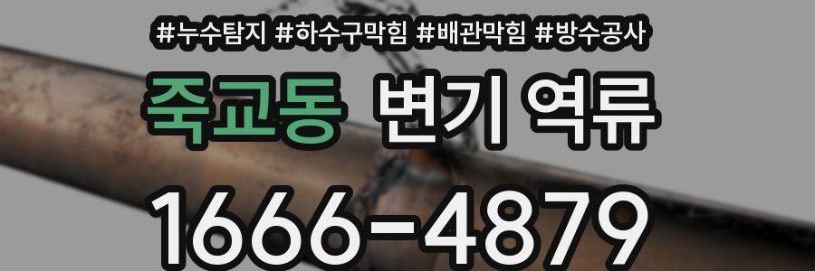 죽교동 변기 역류