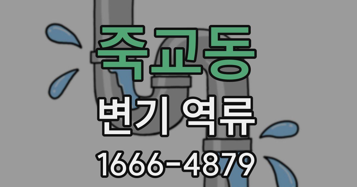 죽교동 변기 역류