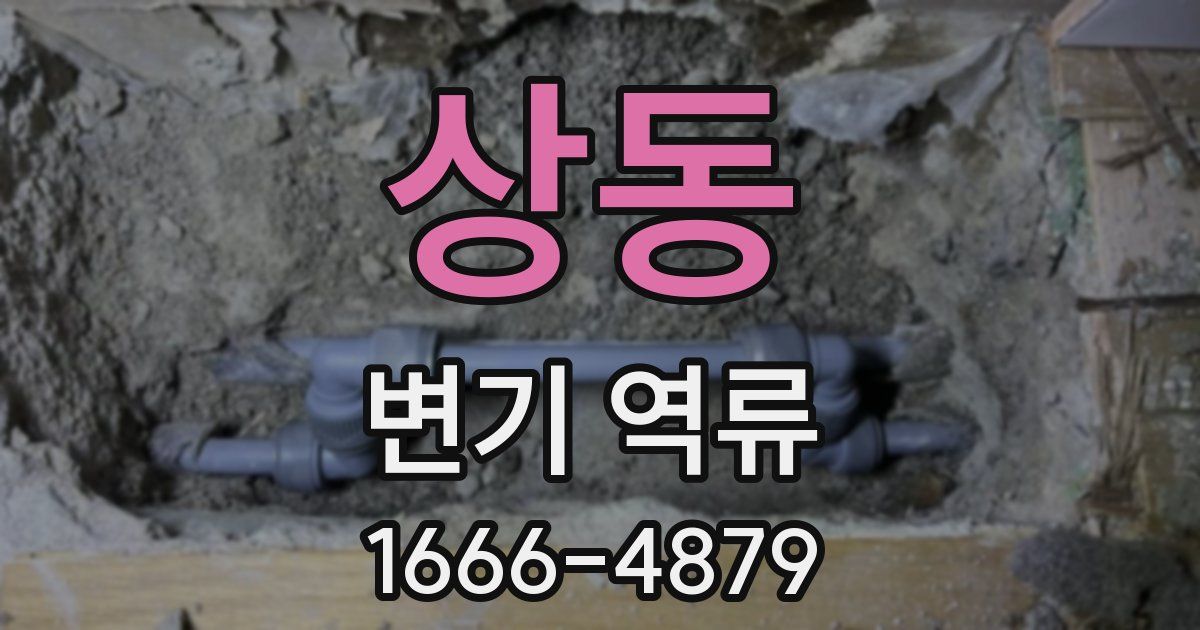 상동 변기 역류