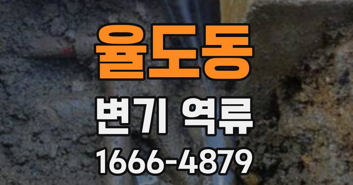율도동 변기 역류