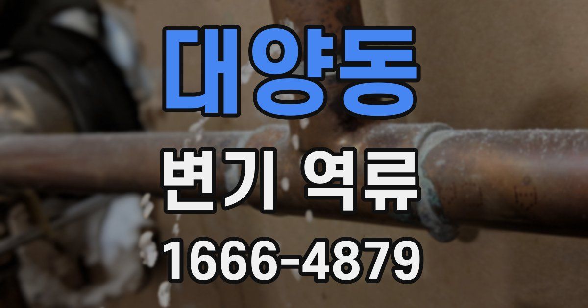 대양동 변기 역류
