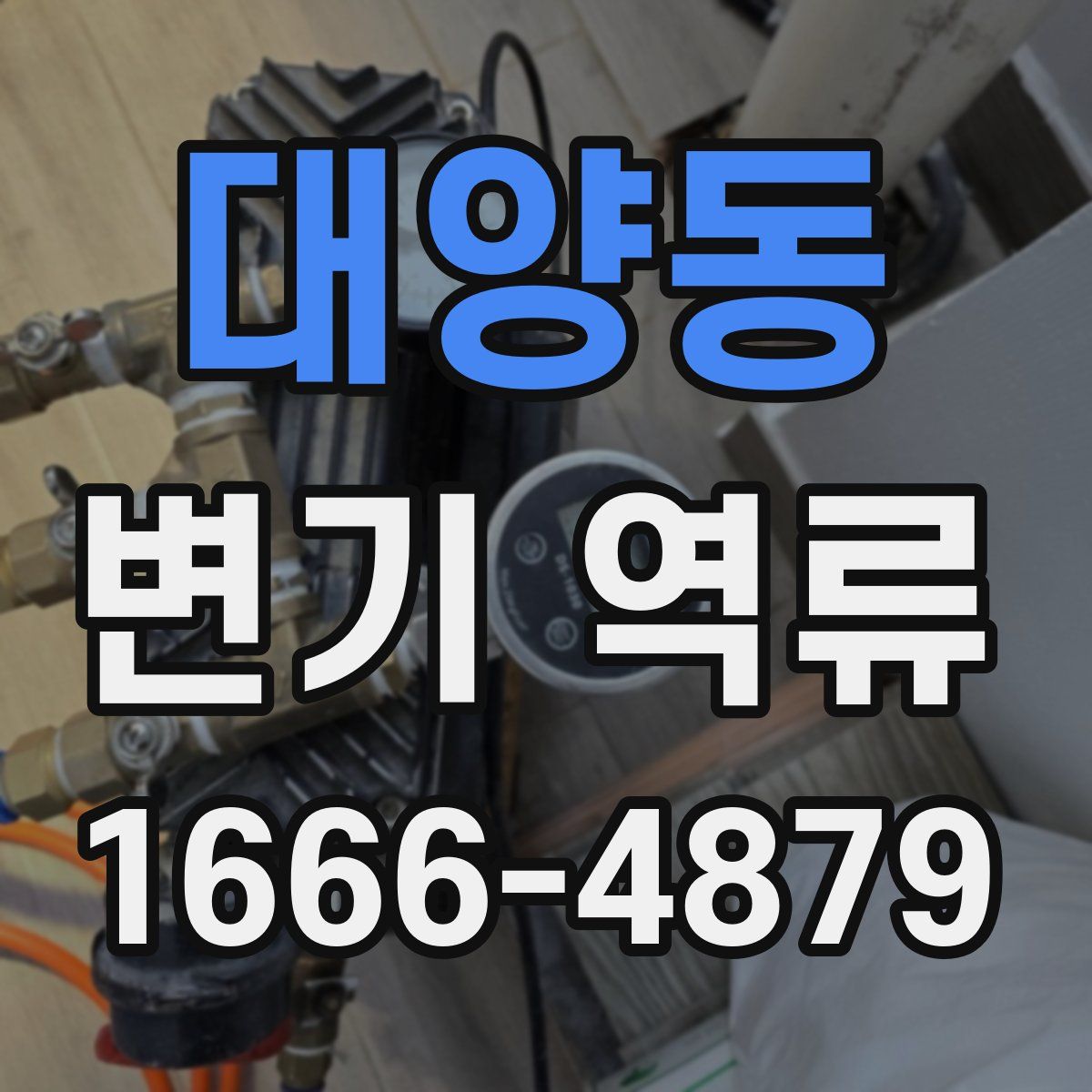 대양동 변기 역류