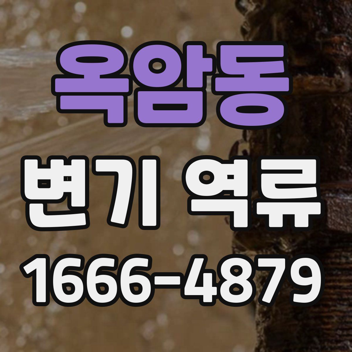 옥암동 변기 역류