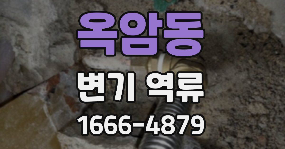 옥암동 변기 역류
