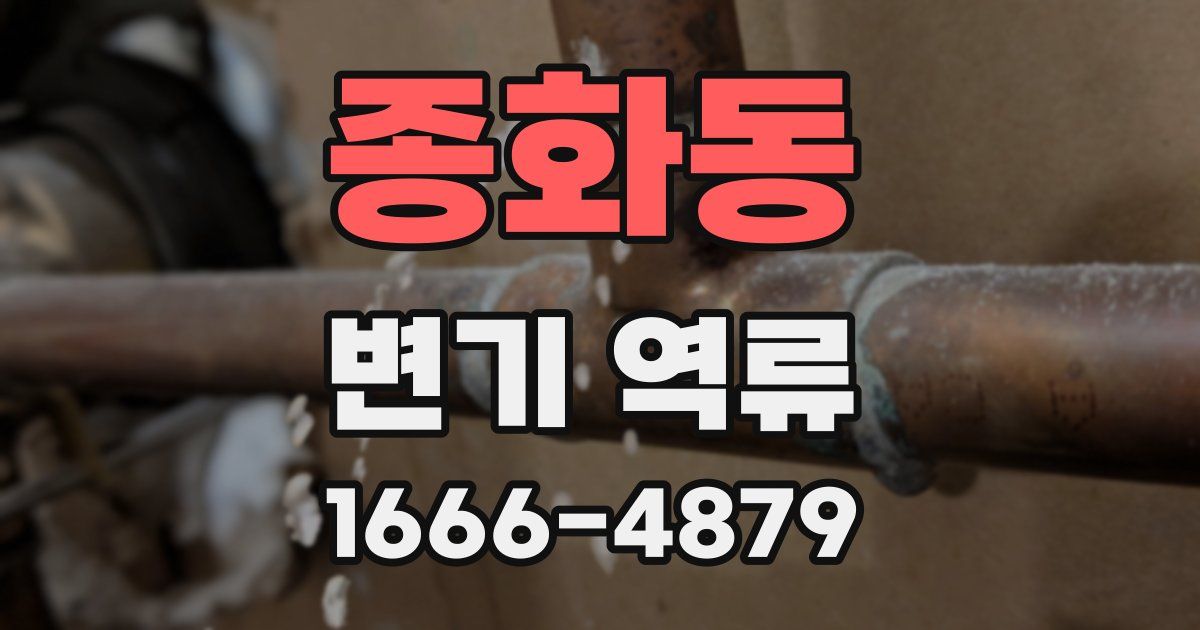 종화동 변기 역류