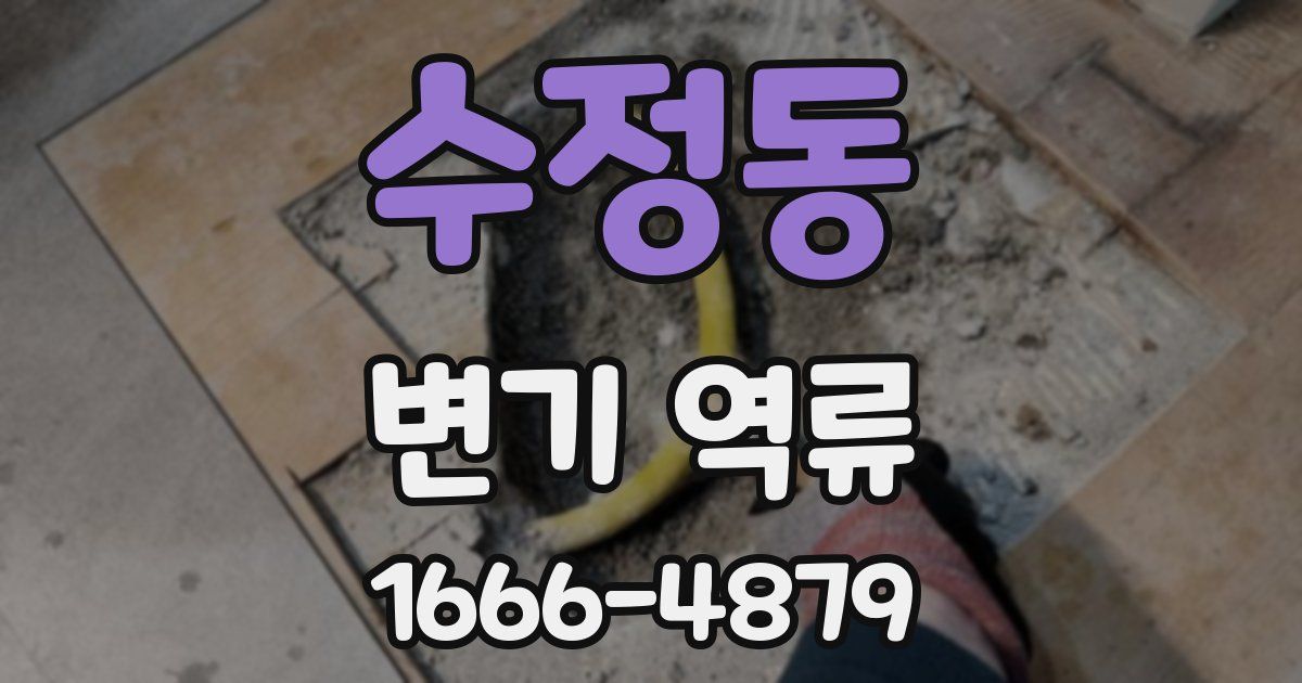 수정동 변기 역류