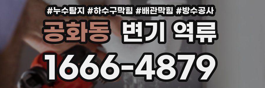 공화동 변기 역류