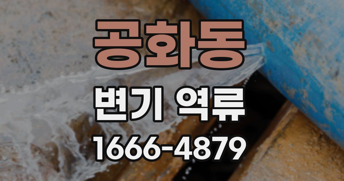 공화동 변기 역류