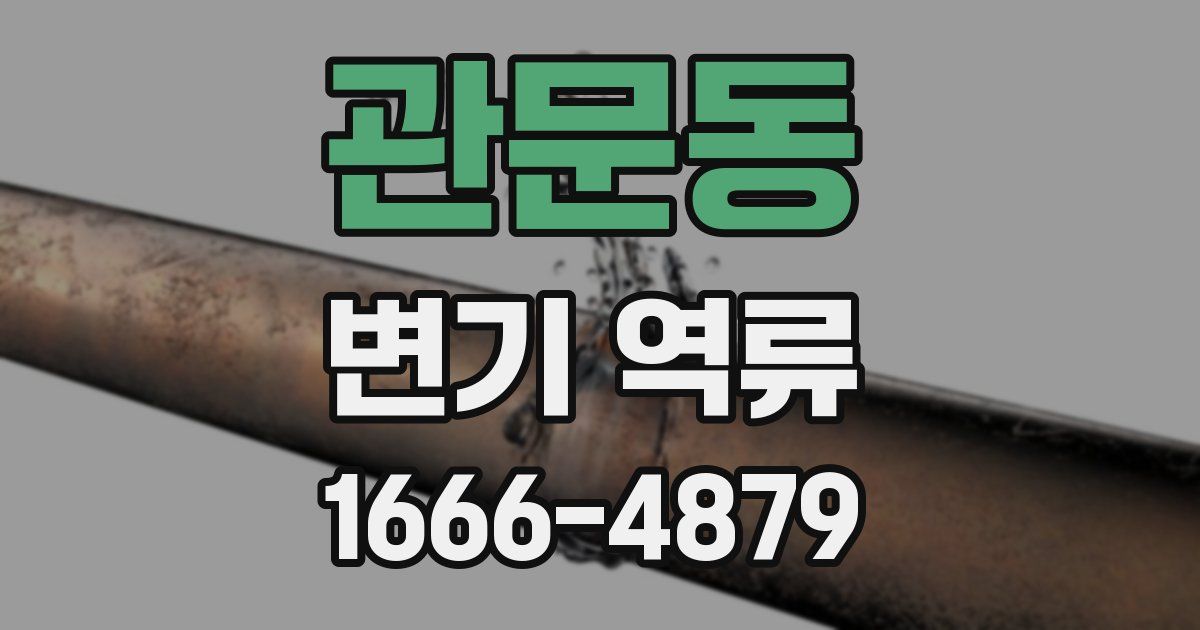 관문동 변기 역류