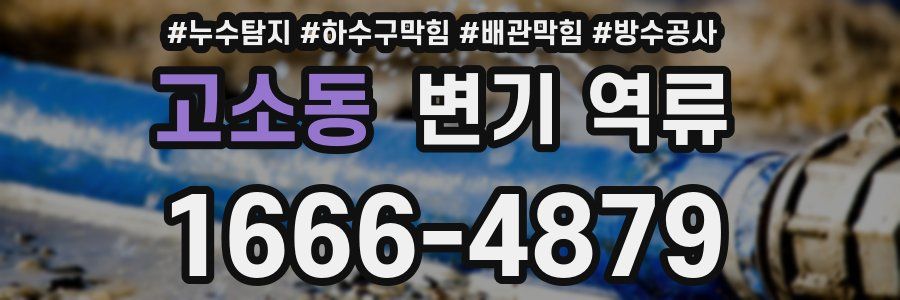 고소동 변기 역류