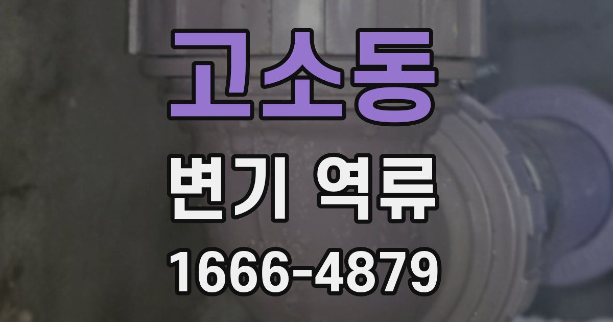 고소동 변기 역류