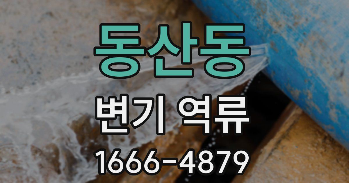 동산동 변기 역류