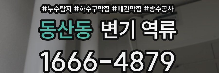동산동 변기 역류