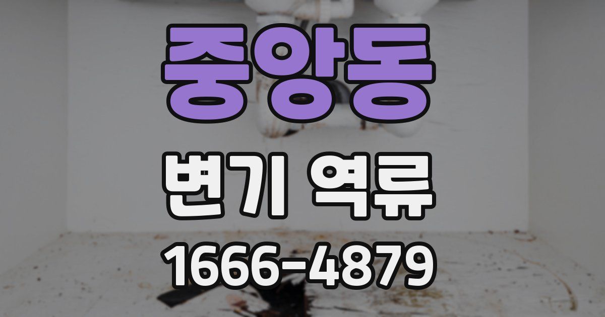 중앙동 변기 역류