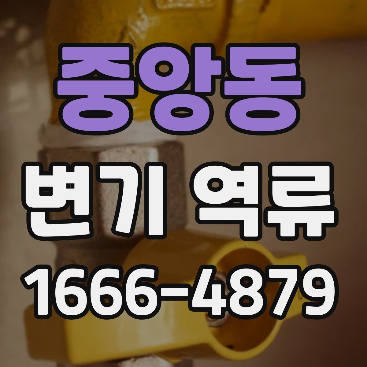중앙동 변기 역류