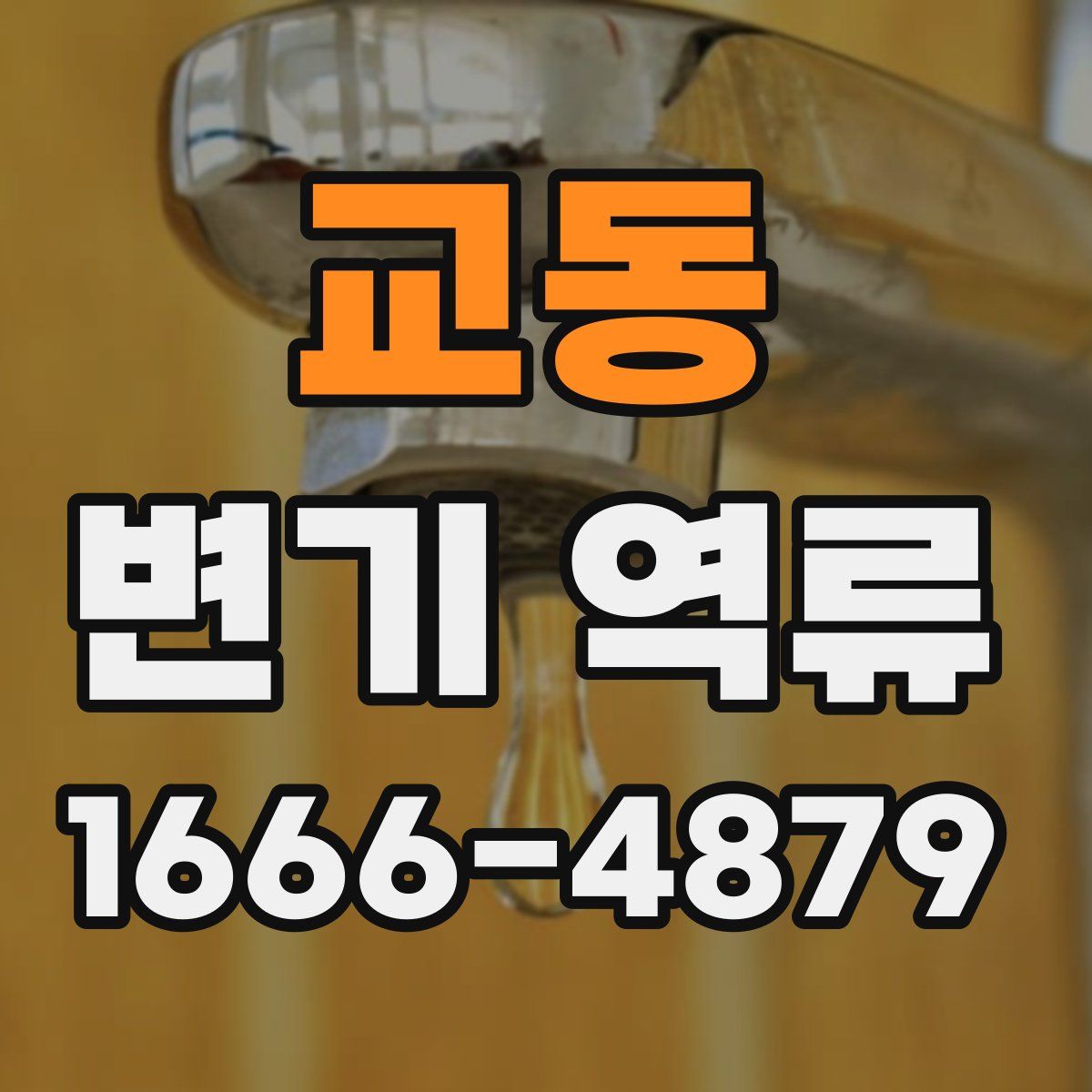 교동 변기 역류