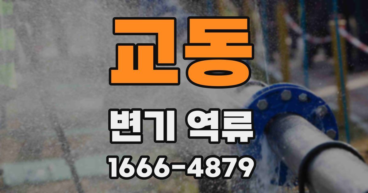 교동 변기 역류