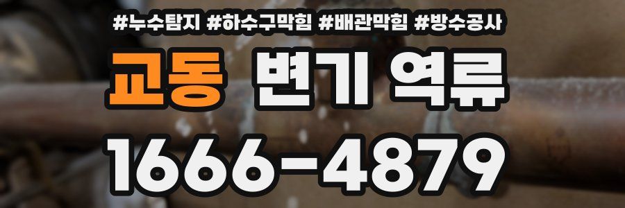 교동 변기 역류
