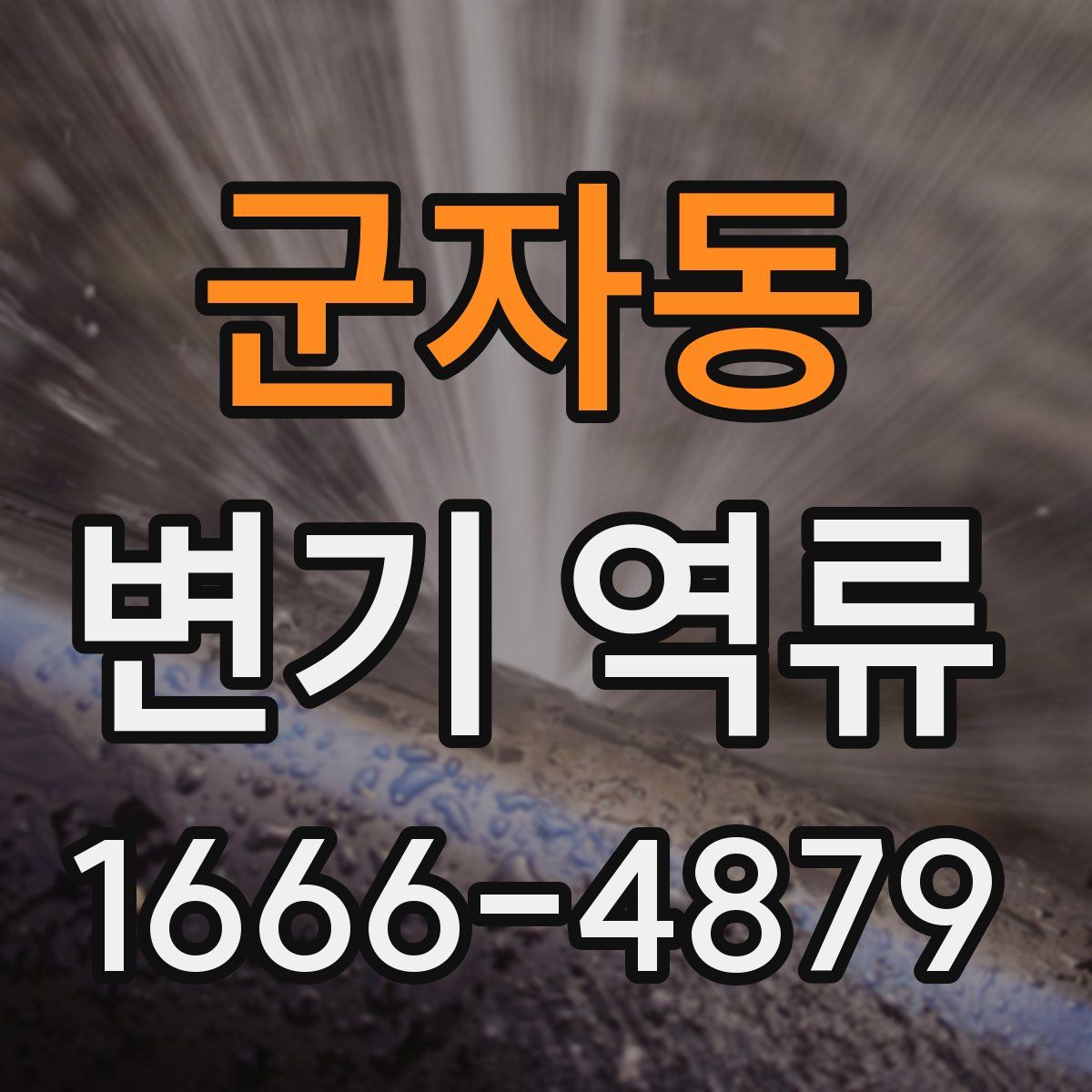 군자동 변기 역류
