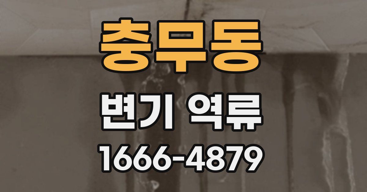 충무동 변기 역류
